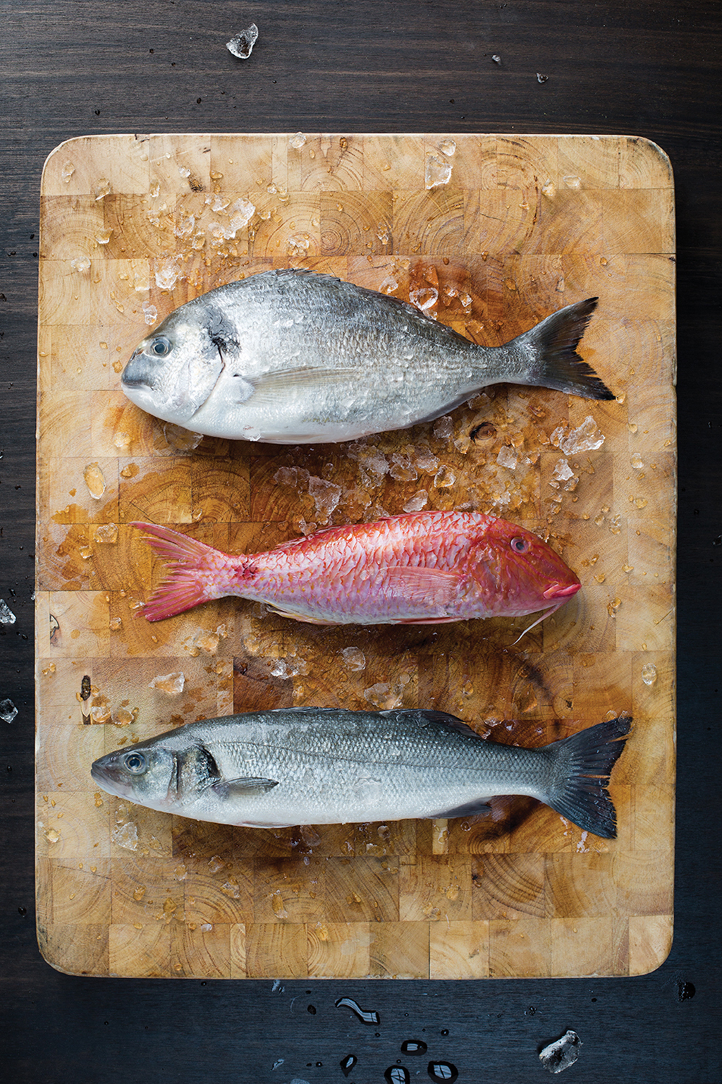 Gamba_3 Fish Chopping Board_IMG_1177_LR