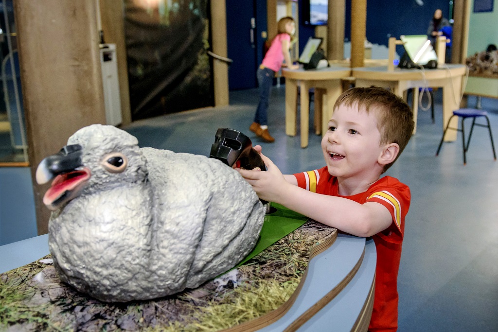 Euan Innes (4) from Midlothian was an early visitor to the Scottish Seabird Centre at the Scottish Seabird Centre (Photo: Helen Pugh)