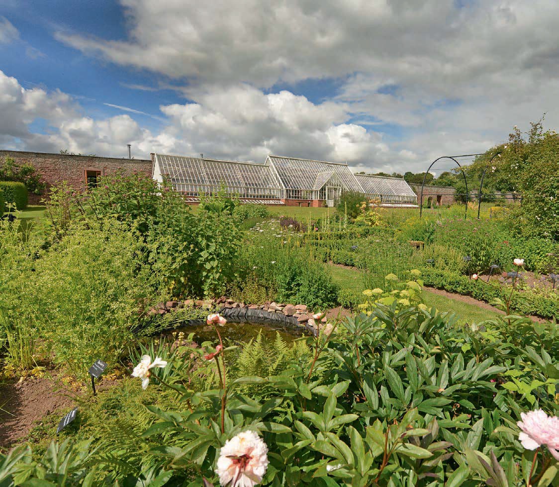 The greenhouses in the walled garden. (Photo: Angus Blackburn)