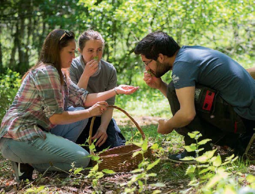 Foraging in the distillery grounds (Photo: Angus Blackburn)