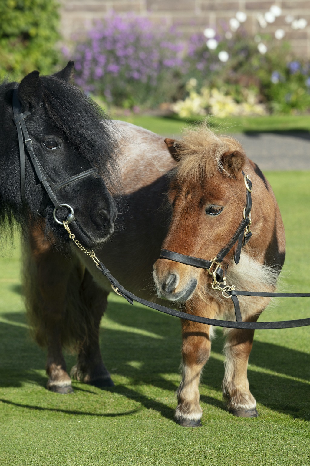 HIGH_RES_GleneaglesSeptember20190014