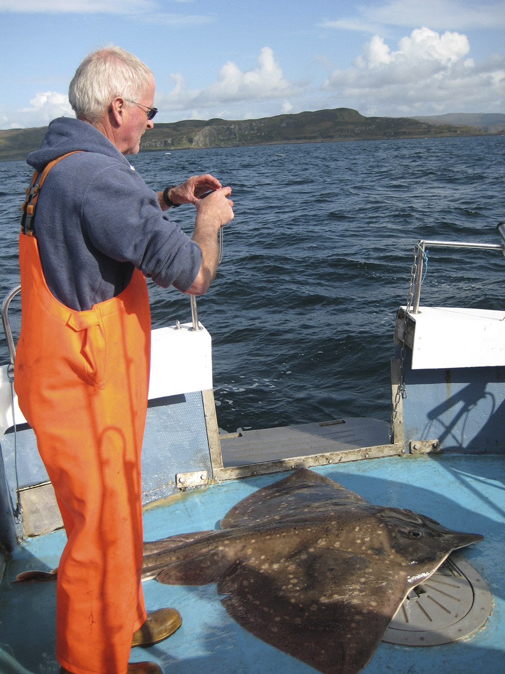 Skipper Ronnie Campbell photographing a skate (Photo: Jane Dodd)