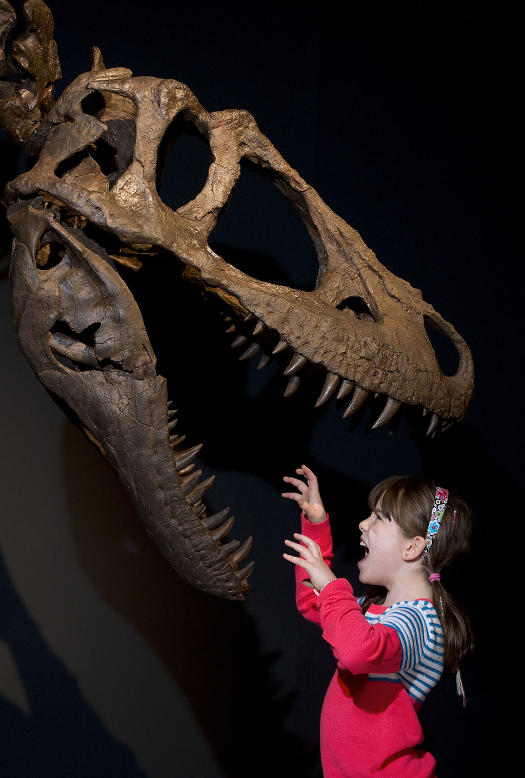 Rosa Connolly aged 10  comes face to face with a tyrannosaur (Photo: Neil Hanna) 