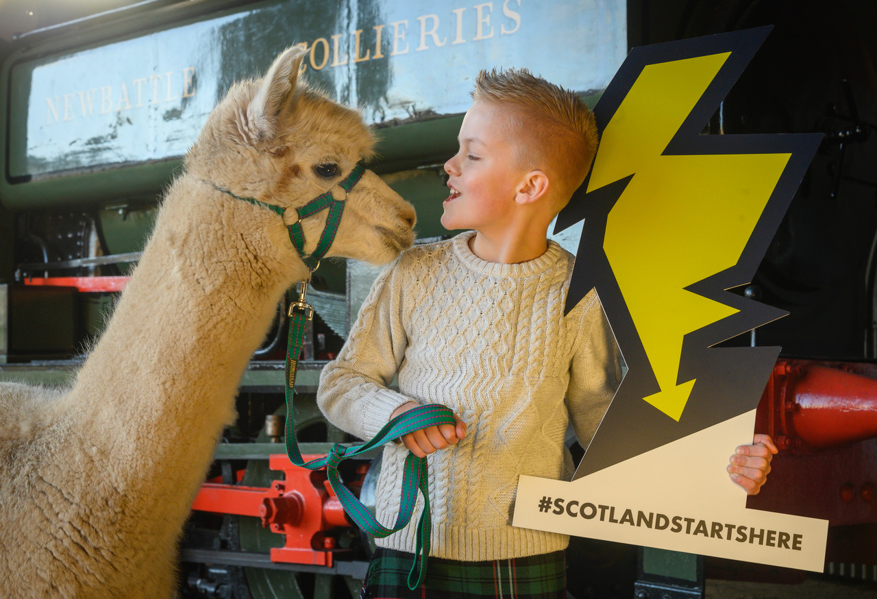 Max Macvie - pictured with one of the Bierhope Alpacas , a tourism business providing alpaca trekking experiences in the Cheviots near Jedburgh (Photo: Phil Wilkinson)