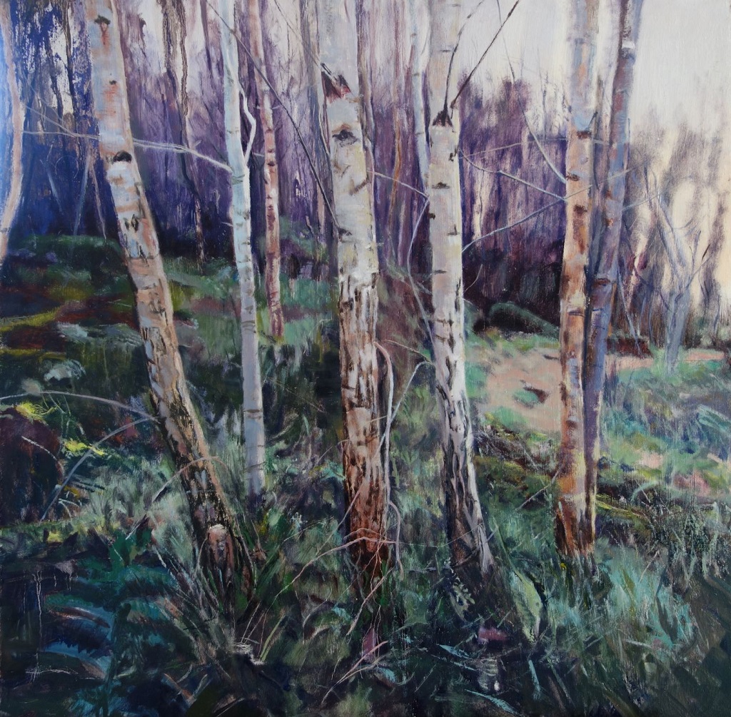 Kevin Heffernan - Birches at Pressmennan Wood 