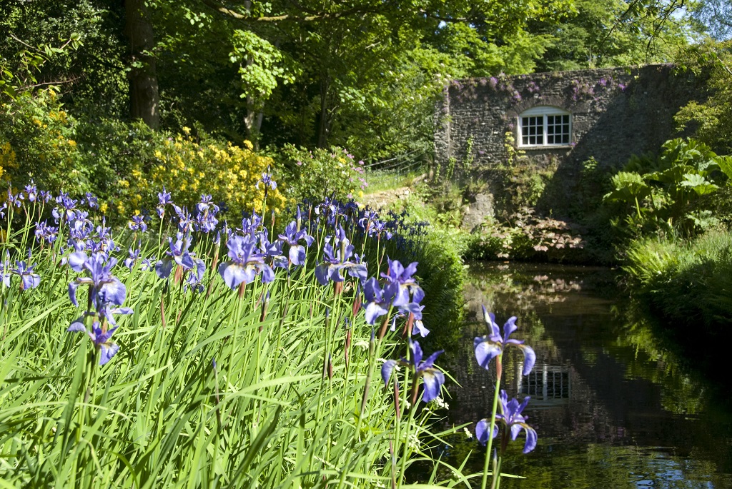 Geilston Garden, Cardross.