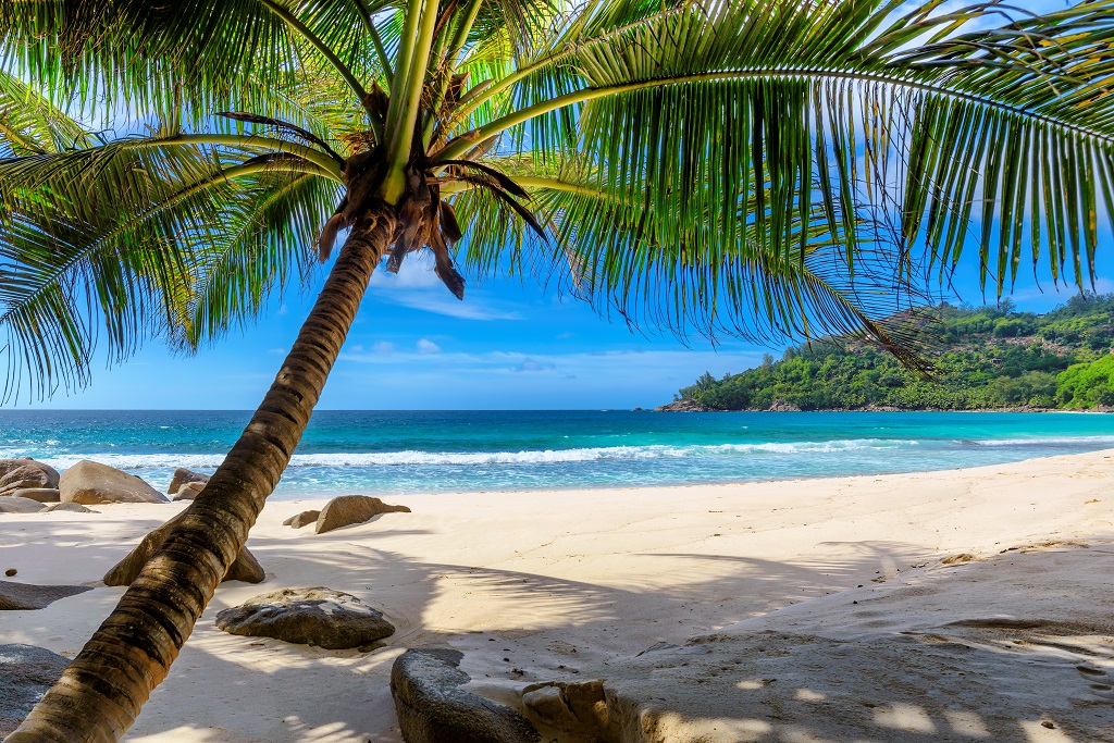 A sunny beach in Barbados