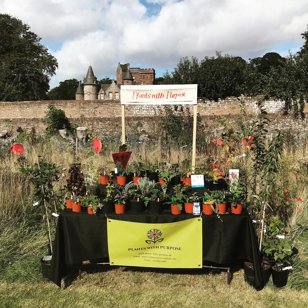 Beer &amp; Berries stall photo courtesy of Hospitalfield