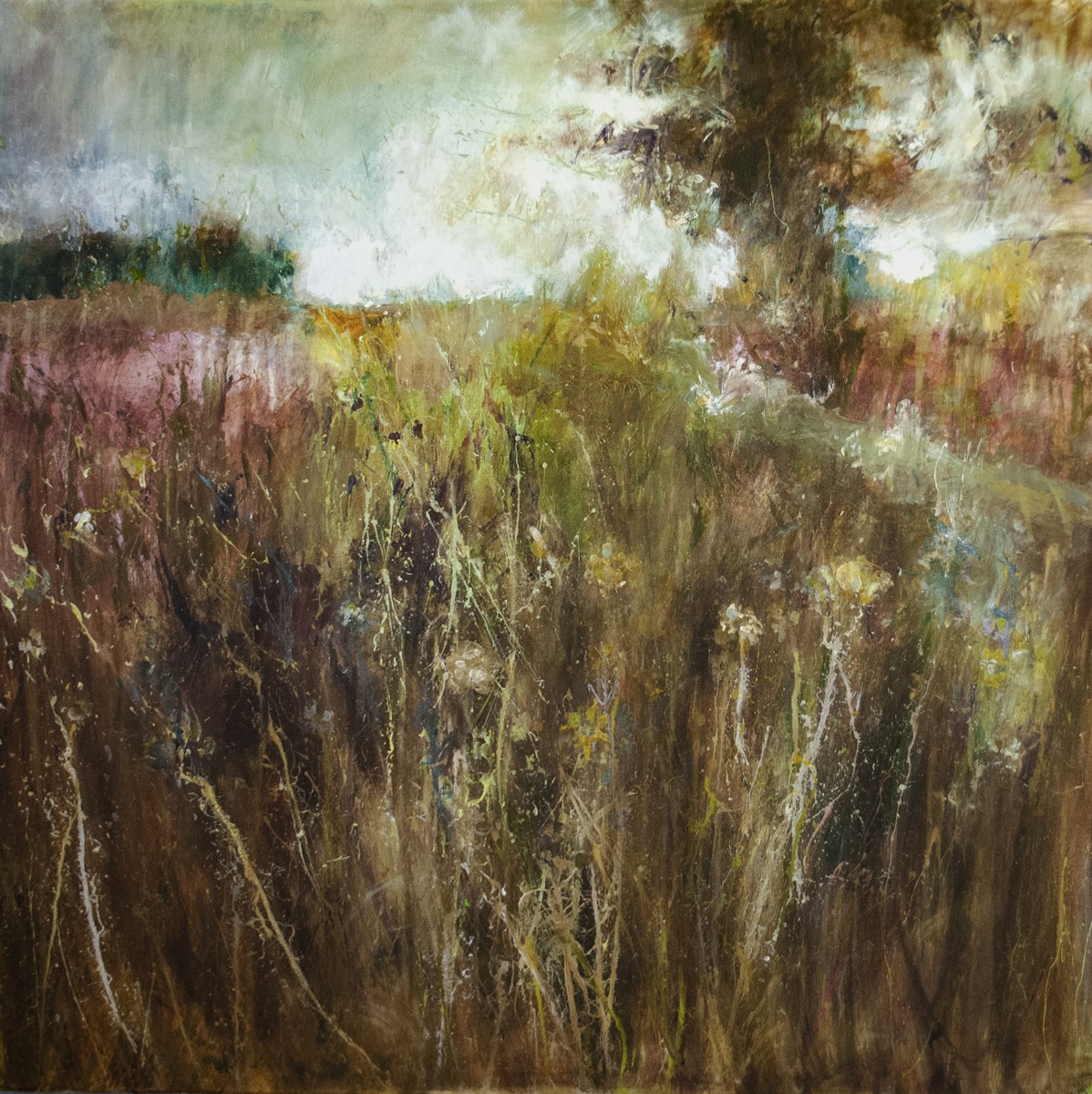 Meadow in a Downpour, by John McClenaghen
