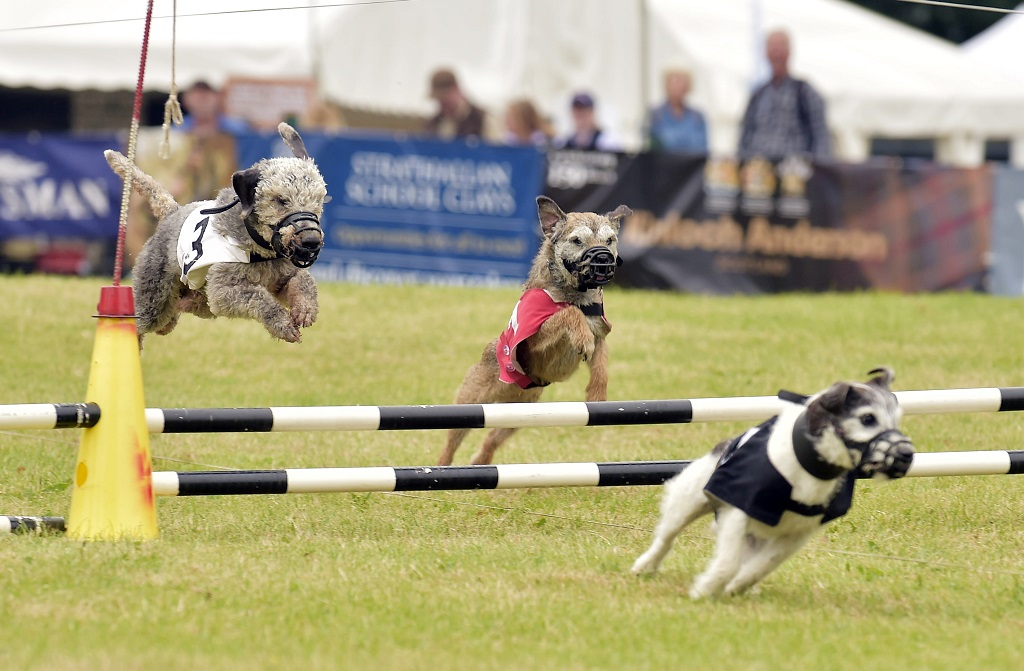 All images © Sandy Young Photography

GWCT Scottish Game Fair Celebrates 30 years with bumper programme.30th annual GWCT Scottish Game Fair, in association with leading rural insurer, NFU Mutual, thousands decent on 30th anniversary at Scone Palace.

Web:   www.scottishphotographer.com
Blog: sandyyoungphotography.wordpress.com 
Mail:    sandy@scottishphotographer.com
Tel:      07970 268944

***Credit should read Sandy Young/scottishphotographer.com***