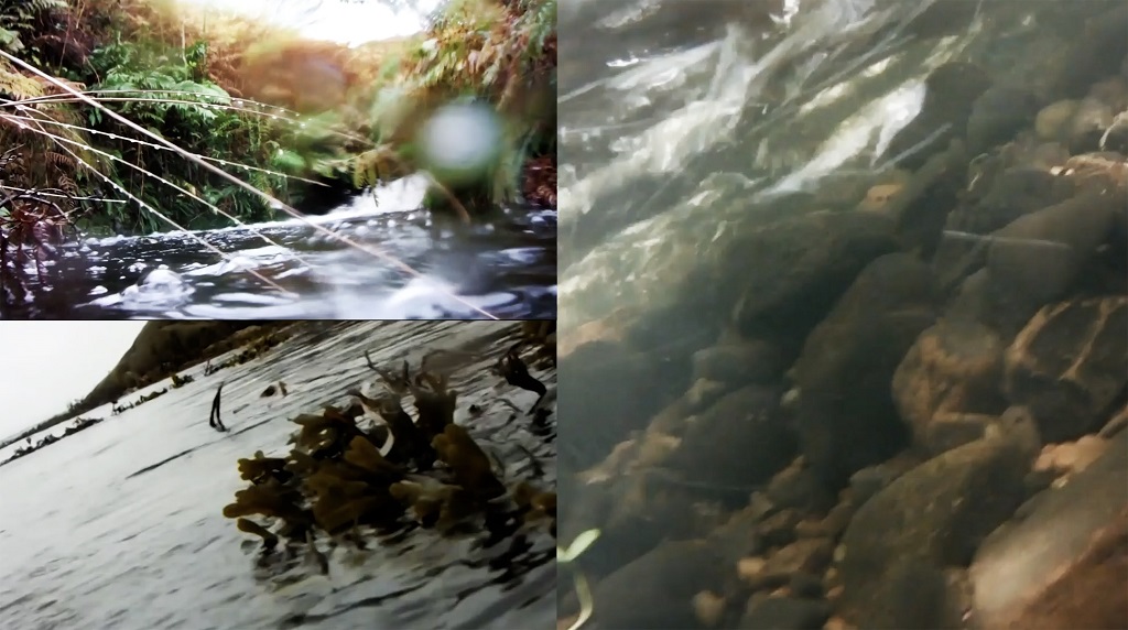 4. Su Grierson. Waterlevel. Video still