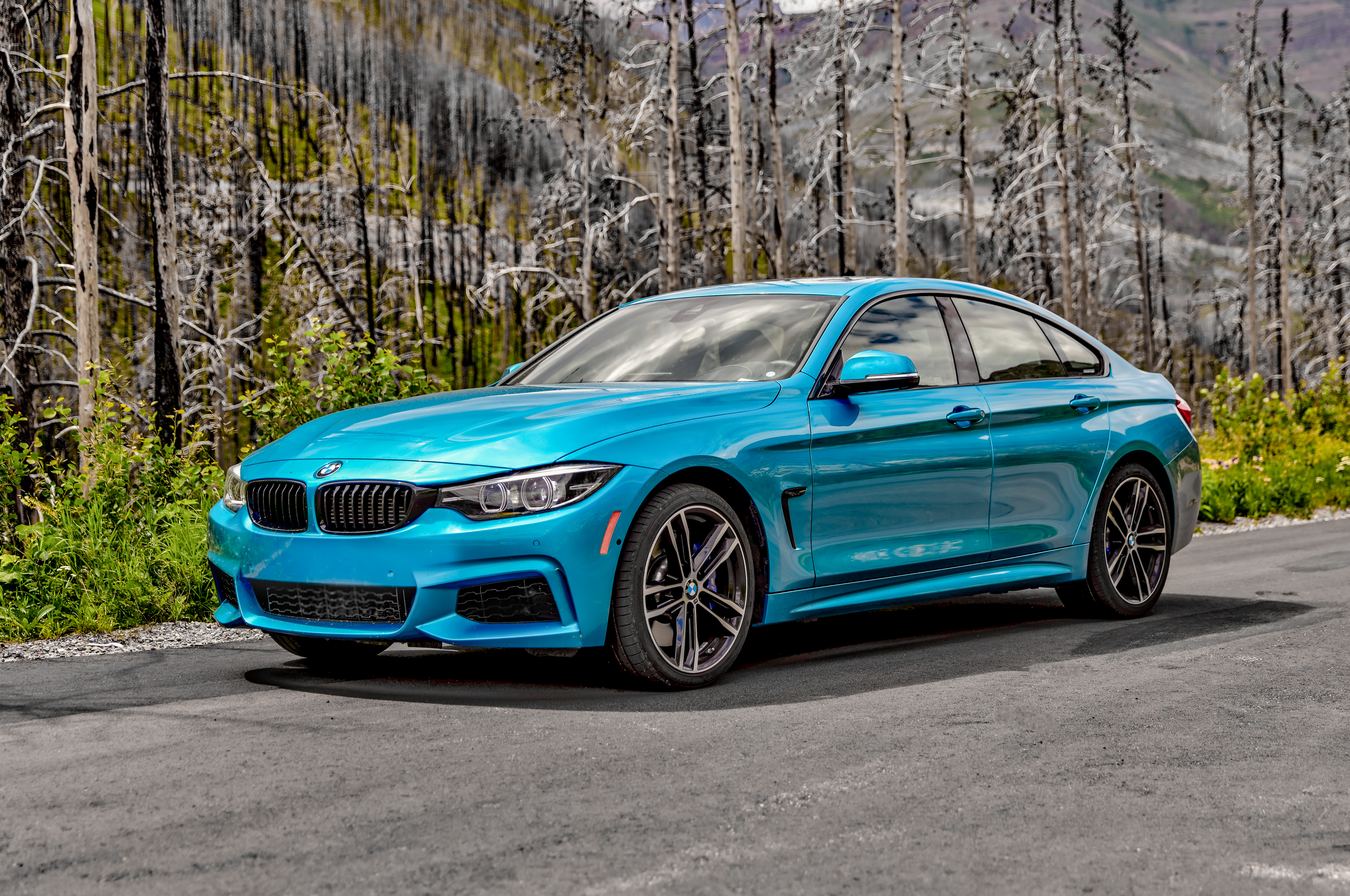 Cameron Lake, Alberta - July 9, 2021: BMW 4 series on the side of a forest highway in Alberta