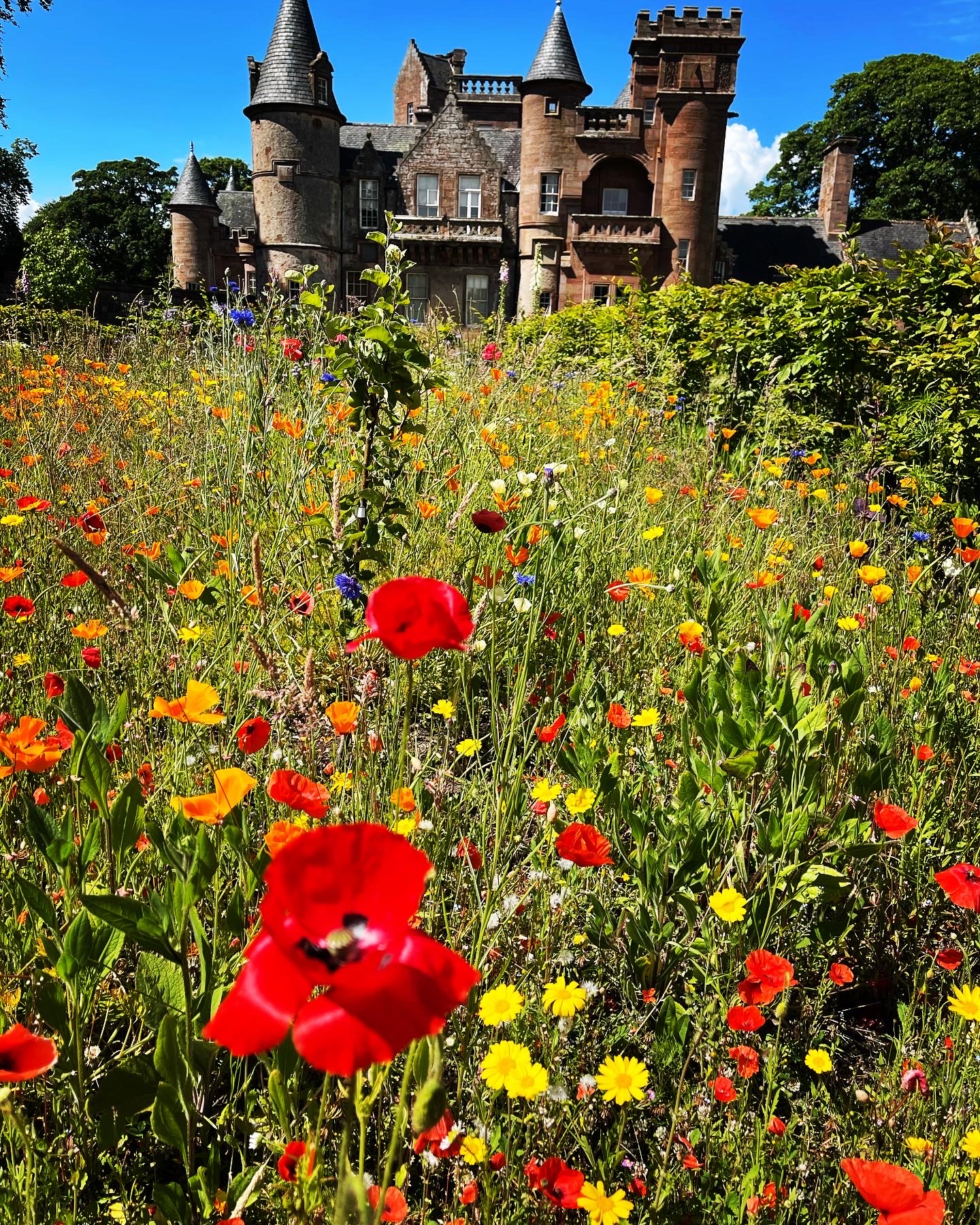 Hospitalfield House by Jacqueline Laird