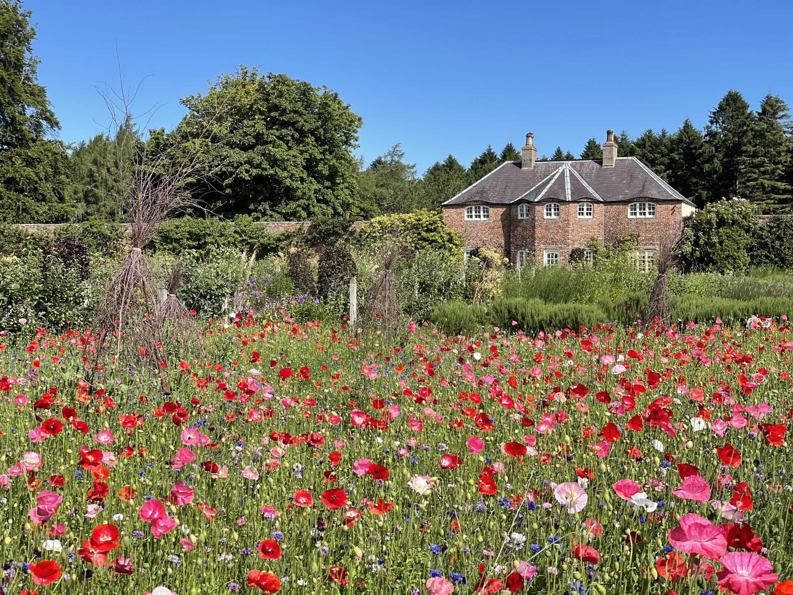 Gordon Castle Walled Garden by James Byatt