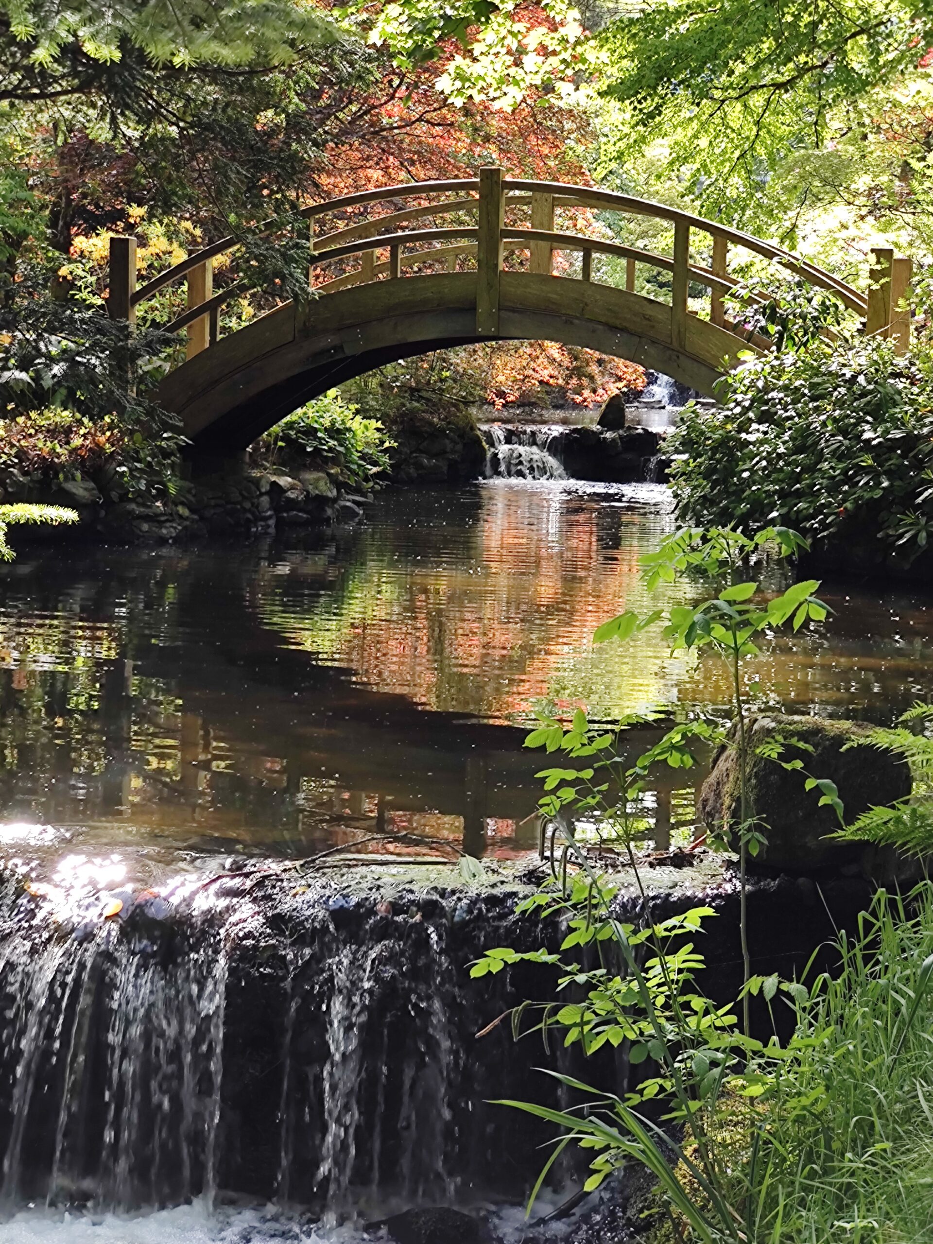 Stobo Japanese Water Garden by Margaret Macleod