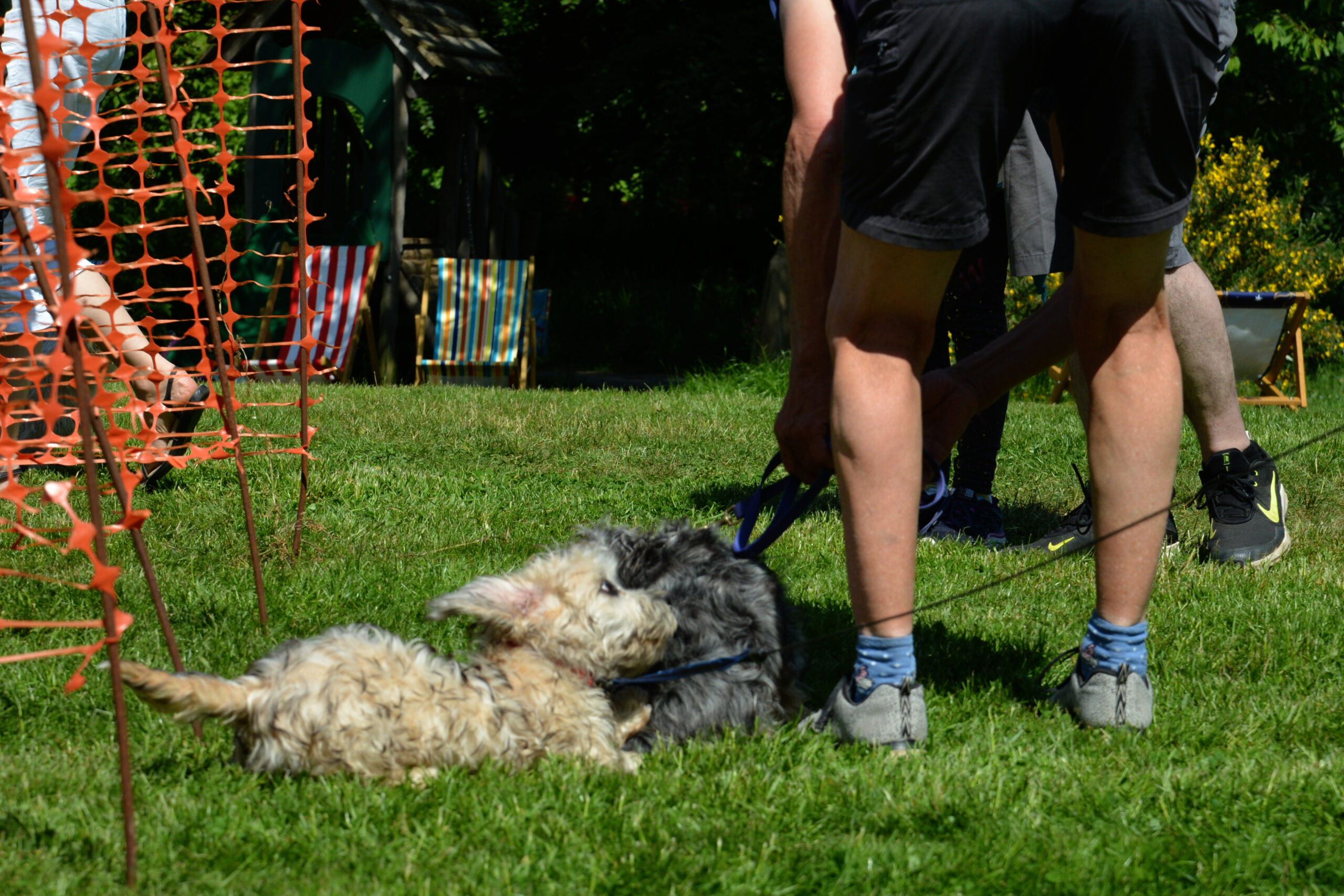 Dandie Dinmont heritage trail at Kirk Yetholm. All pictures: Simon Rishton.