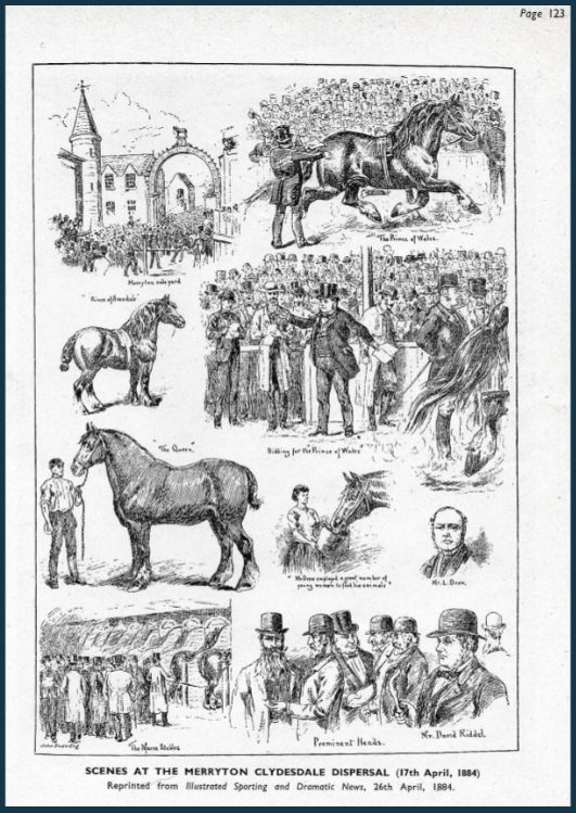 1884-sale-of-Clydesdale-breed-at-Low-Merryton-farm-rl2gh9ua
