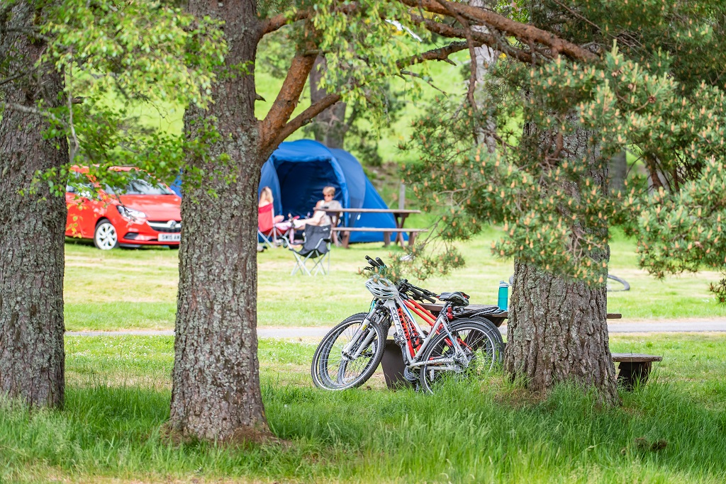 210617_Cairngorms_MorlichCampsite_G005-ID508450-14lmhcatl