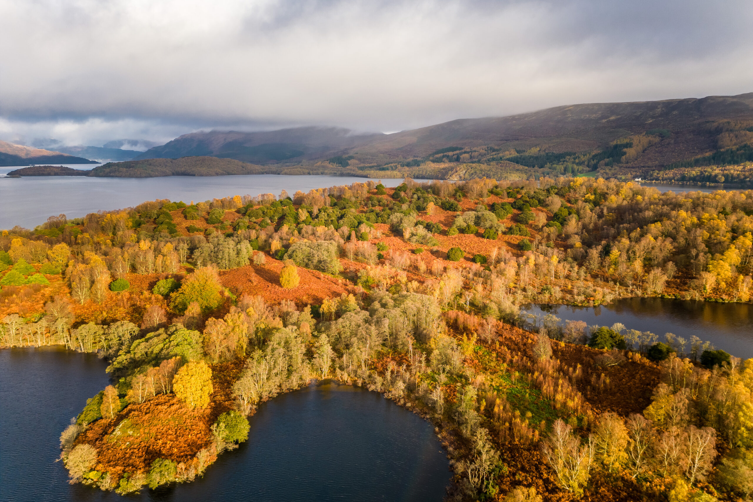 Inchlonaig Island sits in the heart of Loch Lomond 