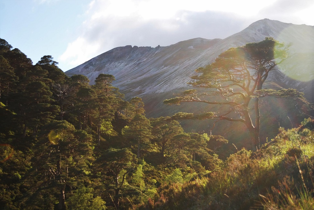 Allt-a-Chuirn-and-Beinn-Eighe-ridge-by-Ben-Catchpole-pjjh4nns