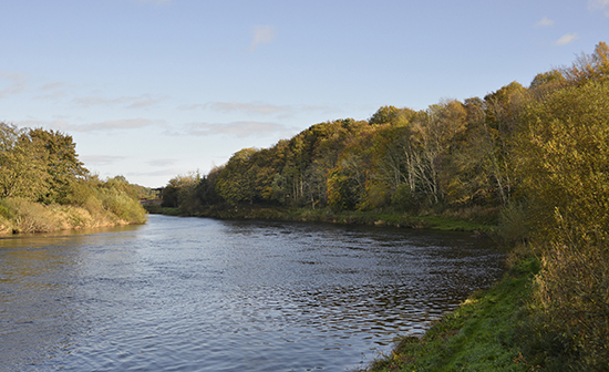 Ardoe-and-Murtle-Fishing-Beat-River-Dee-3