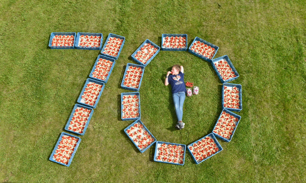500 strawberry tarts using fresh strawberries produced by Scotty Brand in Perthshire are displayed to mark the 70 years of the Queen’s service and the start of strawberry season. The individual portion tarts will be made from cold set custard and topped with the Scotty Brand strawberries grown by Bruce Farms.

Benjamin Byers aged 9 enjoys the perfect taste of summer.