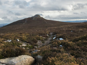 Bennachie1-300x225