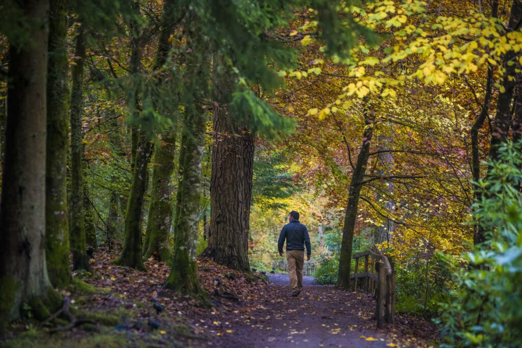 Autumn walk at Loch Faskally in Perthshire