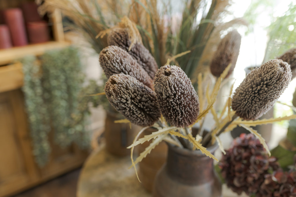 Faux-Banksia-Stems-Hendersons-Garden-Home-Store-www.hendersonsofmelrose.co_.uk_-1024x681