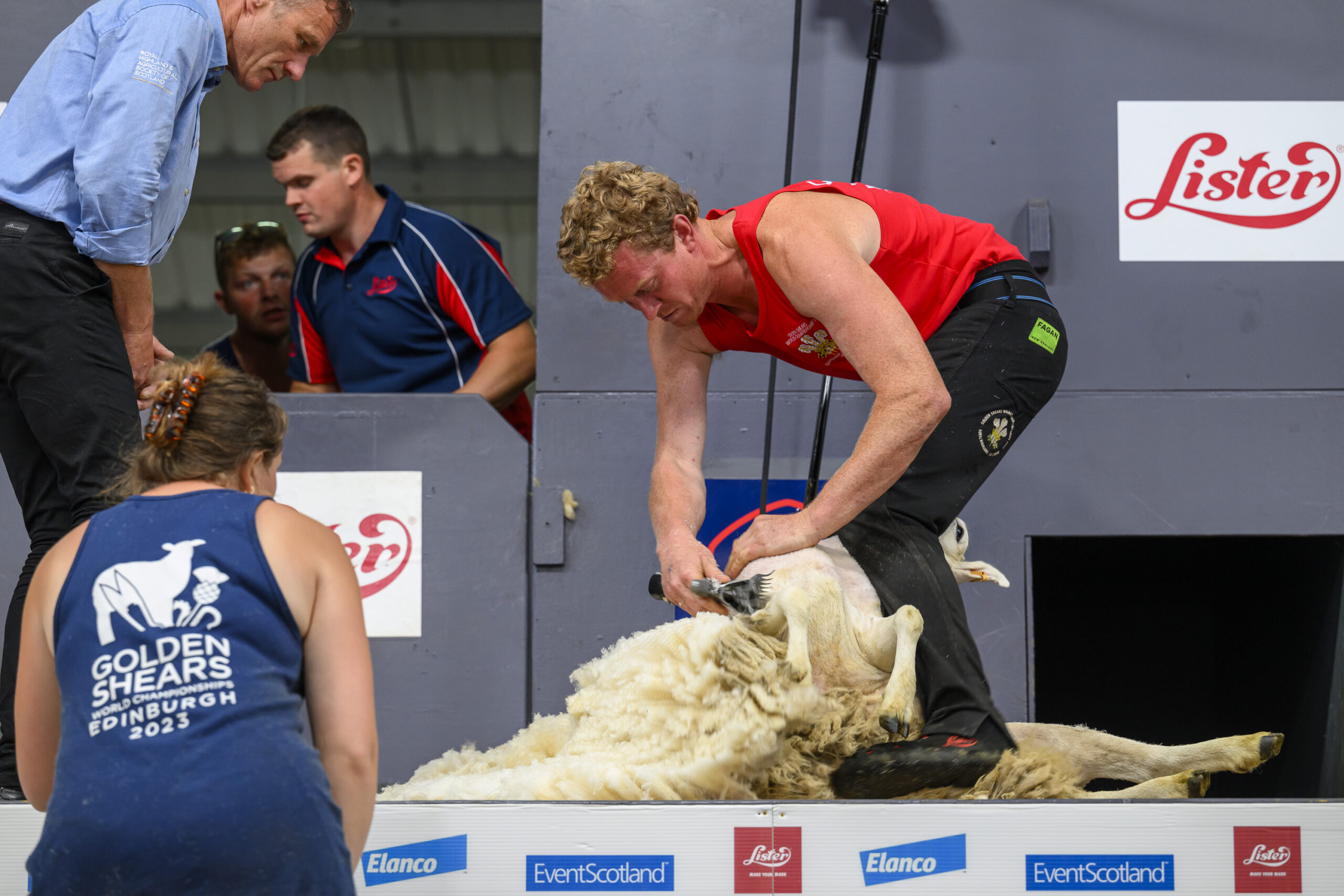 World sheep shearing champions