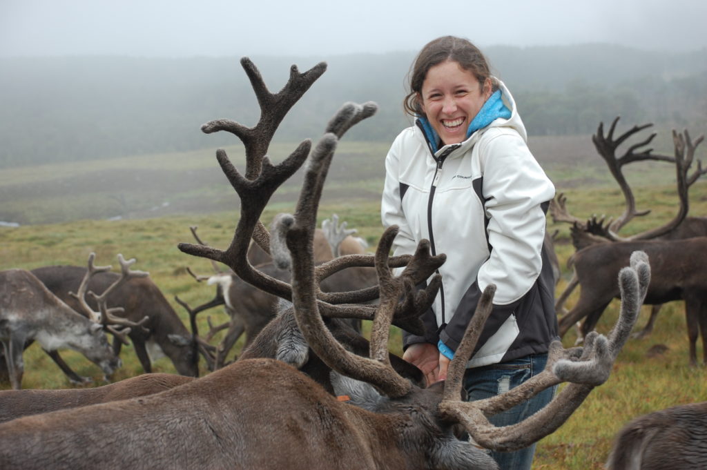 Handfeeding-Credit-Cairngorm-Reindeer-Herd-1024x681