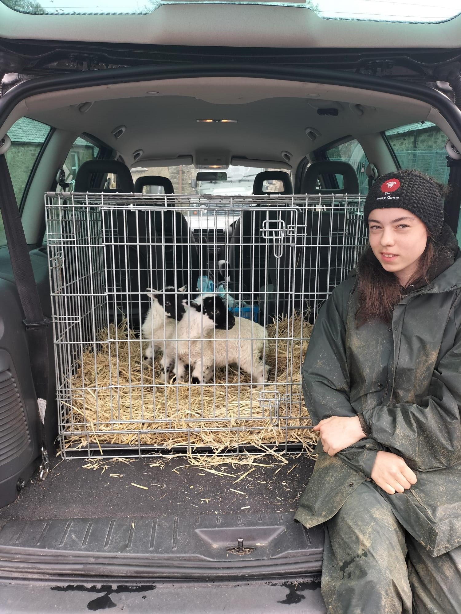 Hayley-collecting-her-new-lambs-2-69vof2ab