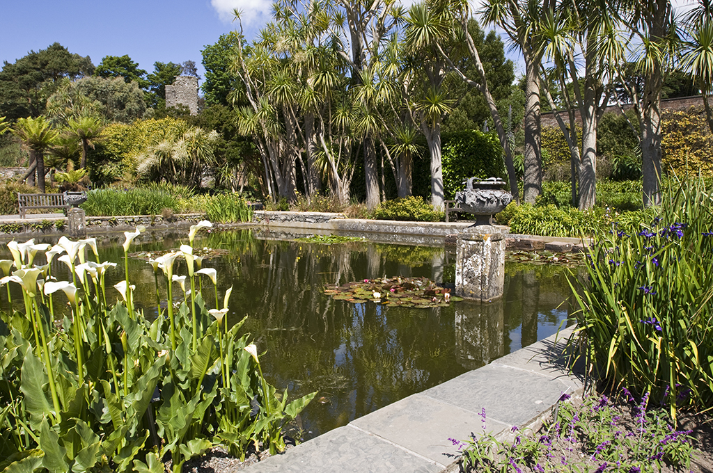 Logan-The-Walled-Garden-with-ruins-of-Castle-Balziel-in-the-background