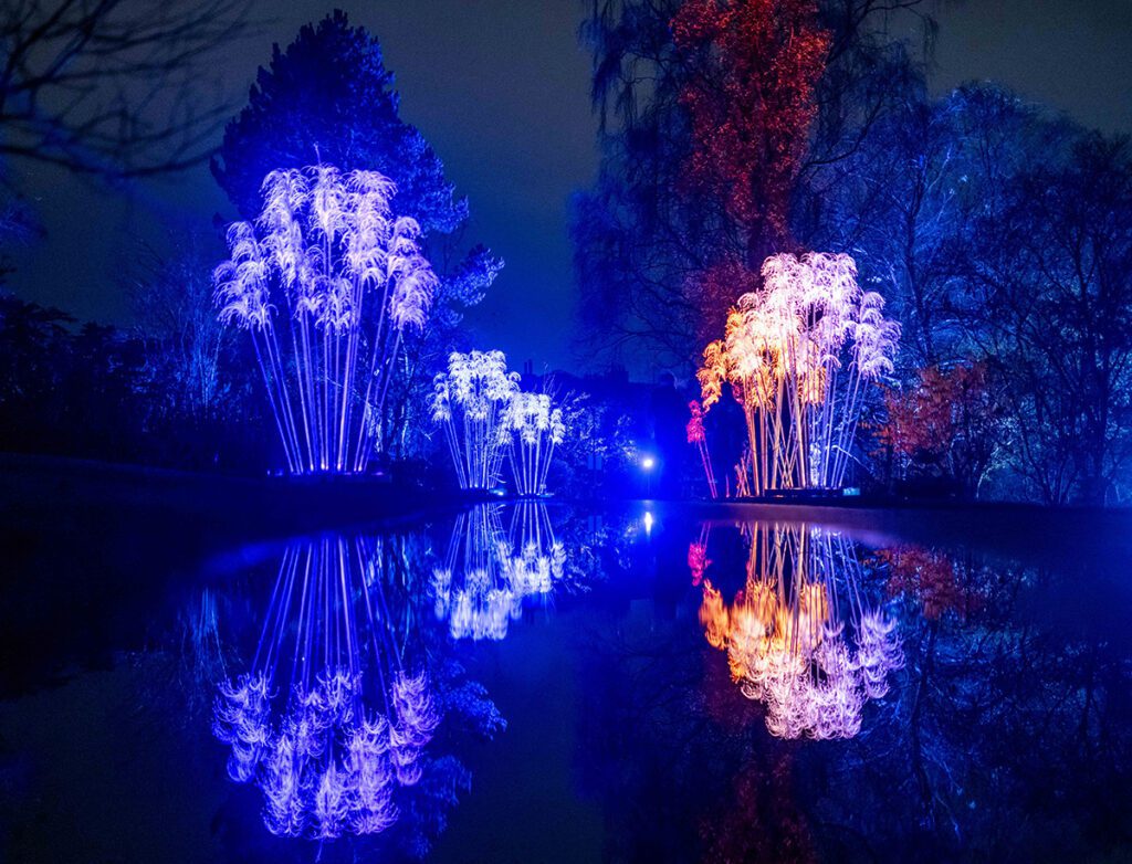 Christmas at the Botanics, Edinburgh. [Credit: Phil Wilkinson  / Christmas at the Botanics]