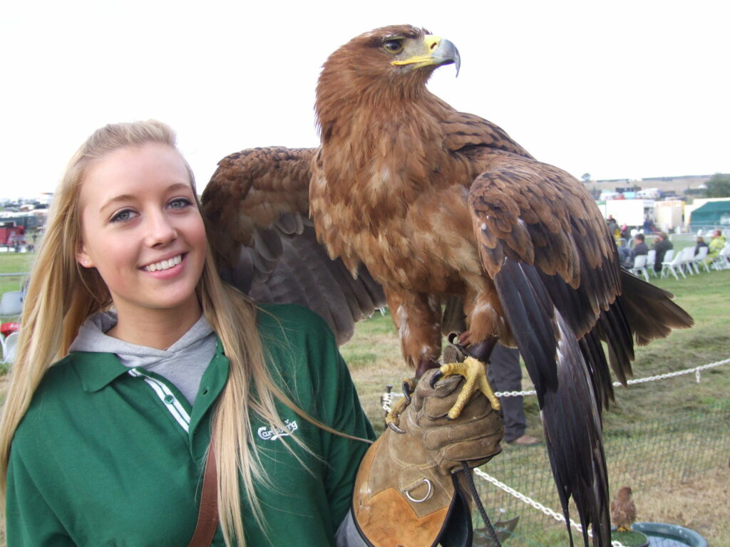 Galloway Country Fair - Ridgeside Falconry