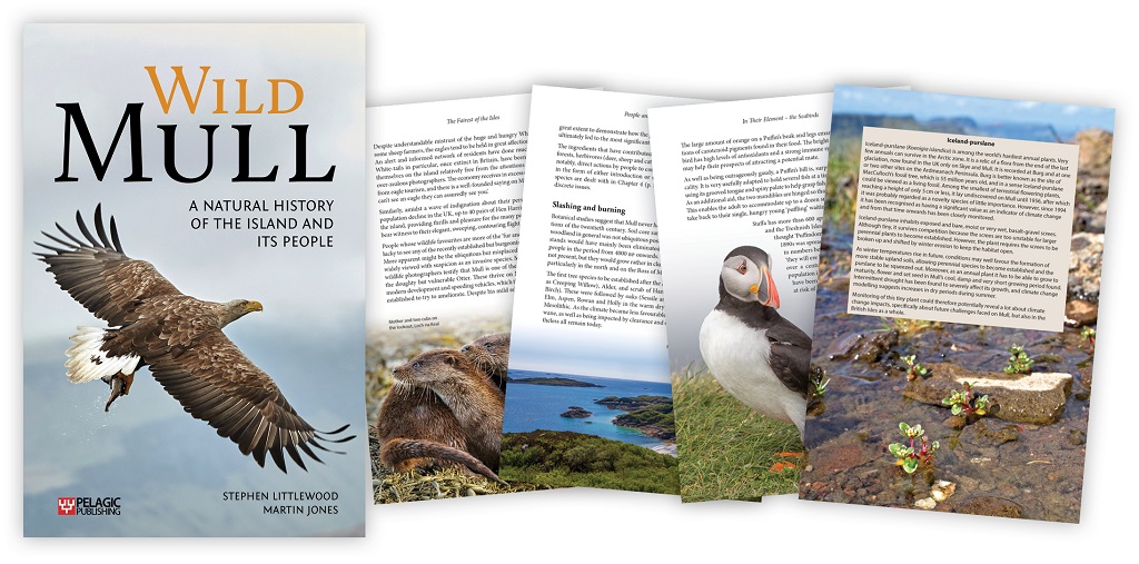 Wild-Mull-page-spread-300-dpi-208x4mj0z