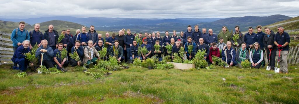 Pernod Ricard tree planting