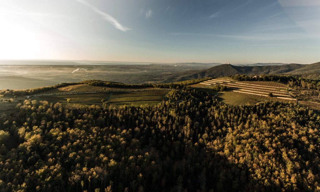 Tenuta Sette Cieli