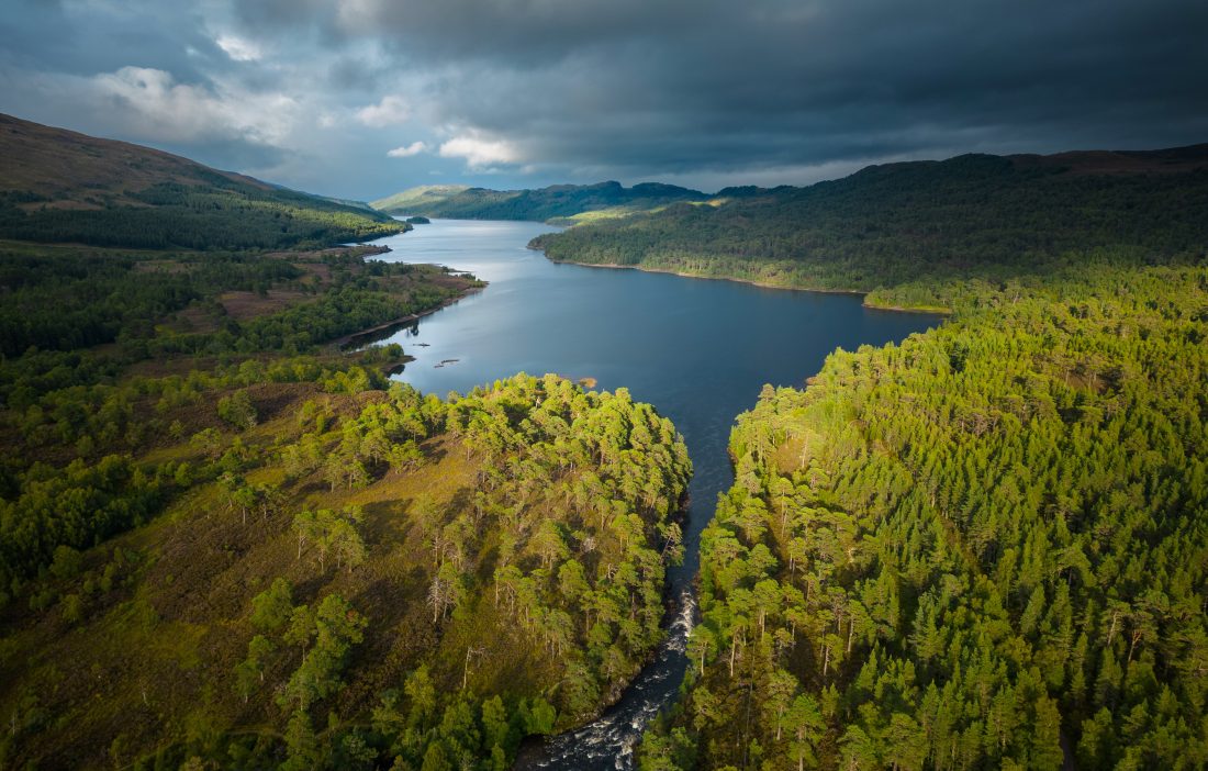 Glen-Affric-credit-James-Shooter-2t36itcpu-1100x702