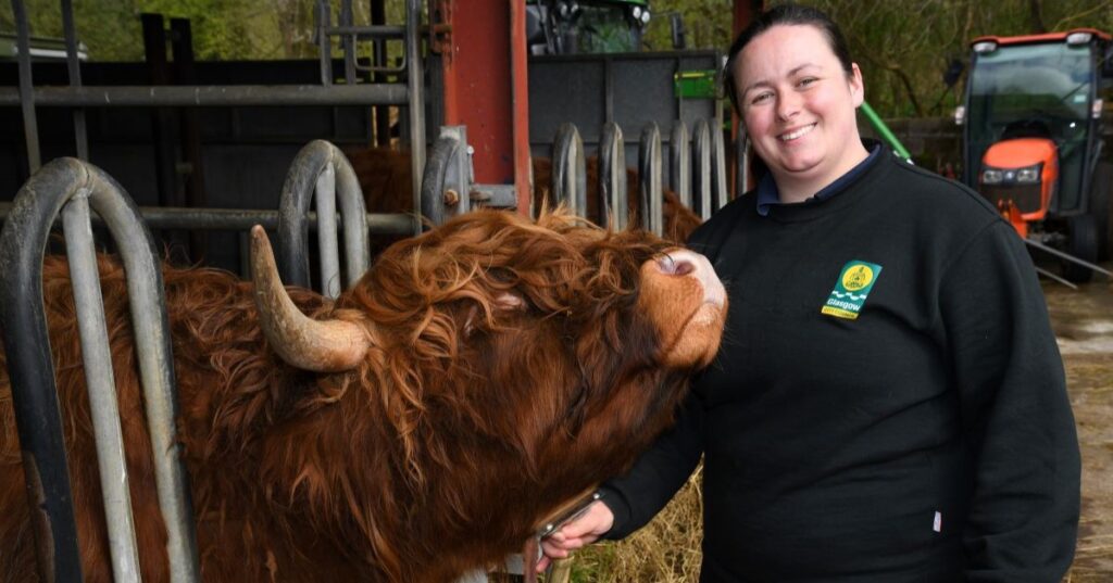 Melissa Curran helps care for Pollok Country Park's herd of 73 Highland Cows.