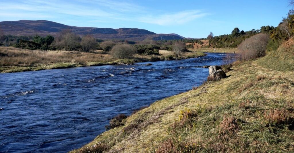 Lower Brora Fishings 7 (Large)