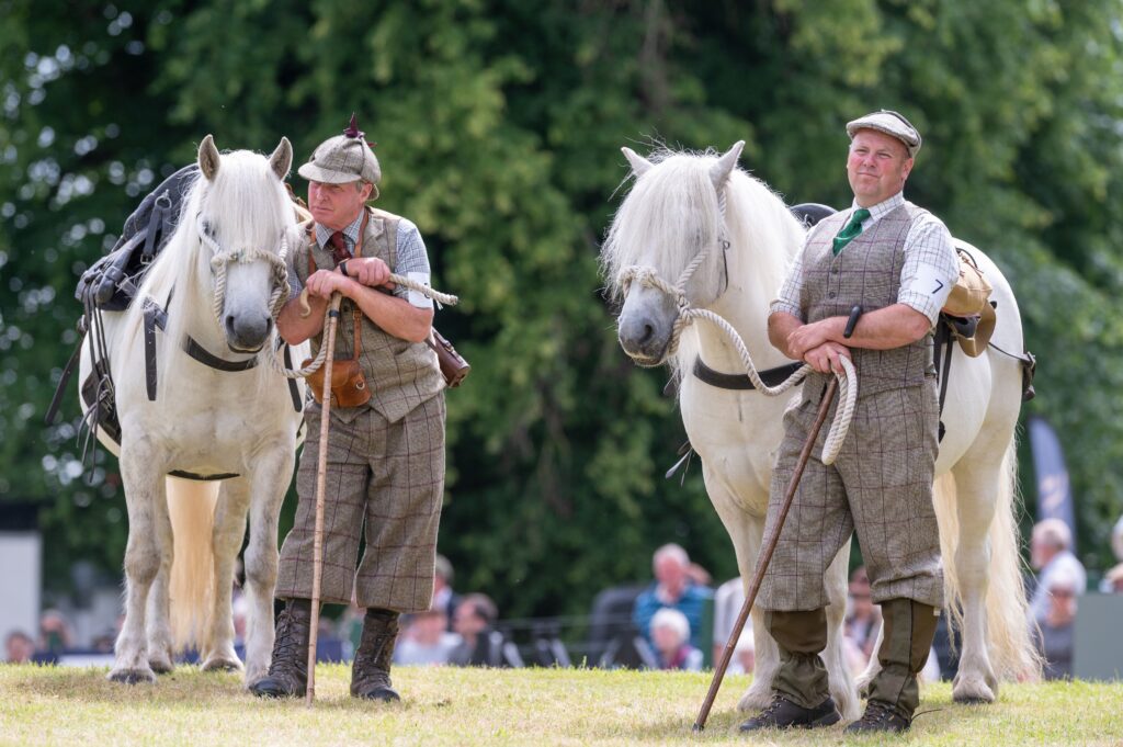 GWCT SGF_ponies_Scottish Game Fair