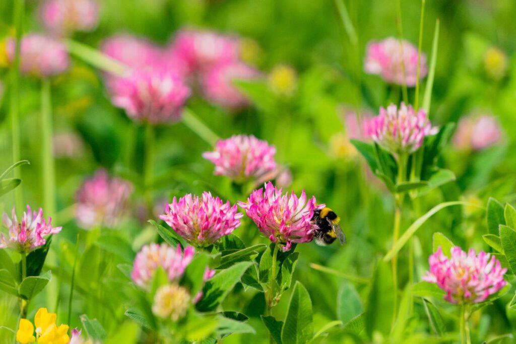 AdobeStock_442907626 Credit: Adobe Stock