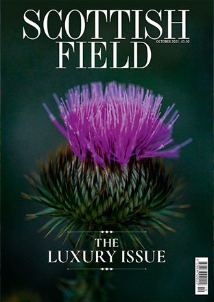 sf10_cover_forweb