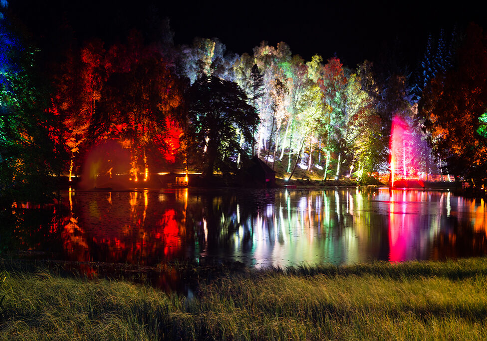 The Enchanted Forest won Best Cultural Event or Festival (Photo: Angus Forbes)