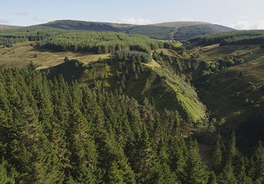 The Forest on BBC One Scotland follows the lives of people working in the Galloway Forest 