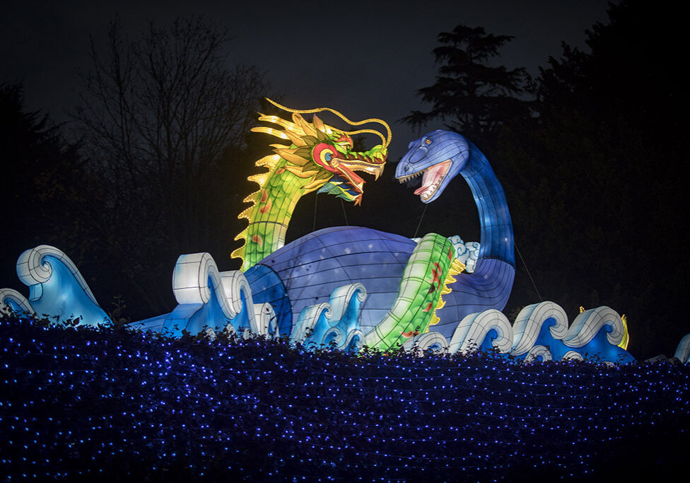 Nessie and a Dragon, at the Giant Lanterns of China  at Edinburgh Zoo (Photo: Stewart Attwood)