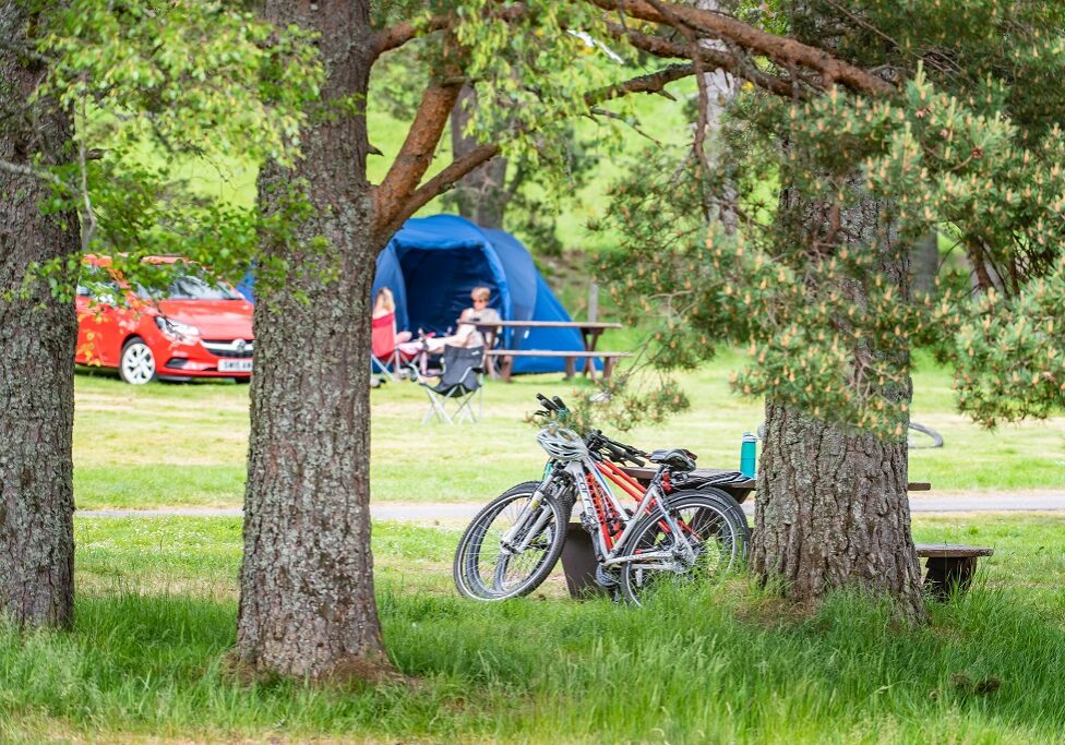 210617_Cairngorms_MorlichCampsite_G005-ID508450-14lmhcatl