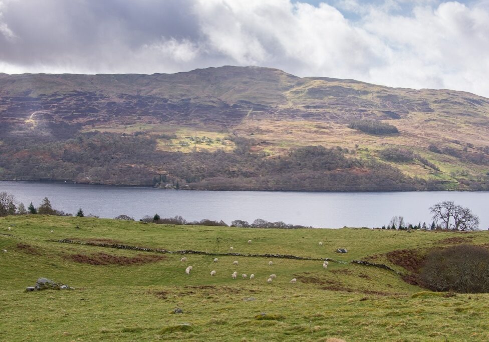 Views from Rynachulaig Farm