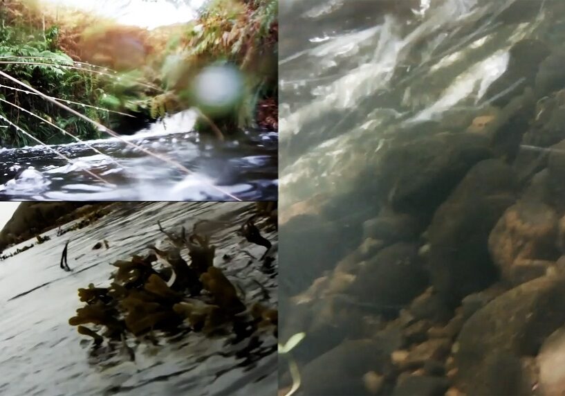 4. Su Grierson. Waterlevel. Video still